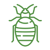 Bedbug