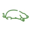 Mole