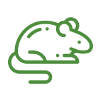 Mice